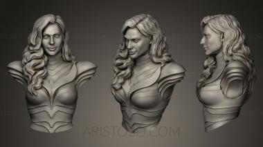 Busts and bas-reliefs of famous people (BUSTC_0656) 3D model for CNC machine
